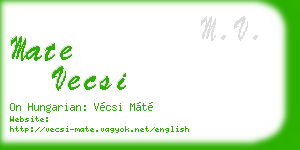 mate vecsi business card