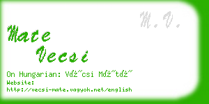 mate vecsi business card